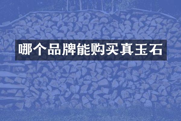 哪个品牌能购买真玉石