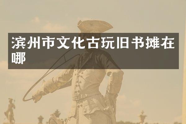 滨州市文化古玩旧书摊在哪