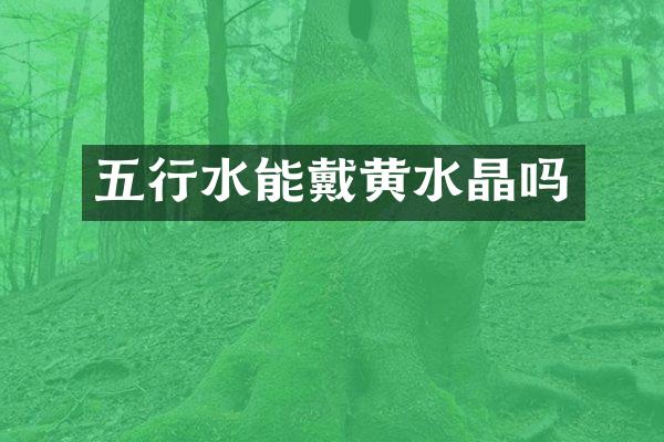 五行水能戴黄水晶吗