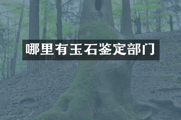 哪里有玉石鉴定部门