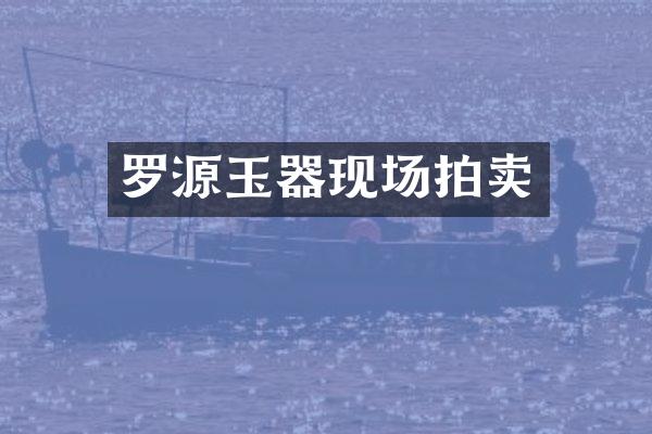 罗源玉器现场拍卖