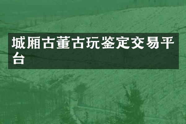 城厢古董古玩鉴定交易平台