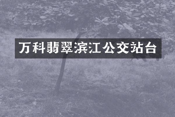 万科翡翠滨江公交站台