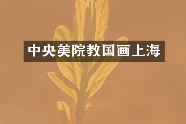 中央美院教国画上海