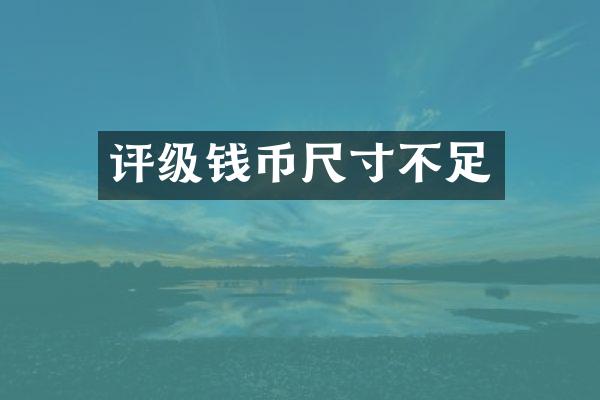 评级钱币尺寸不足