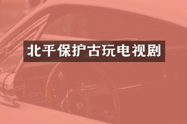 北平保护古玩电视剧