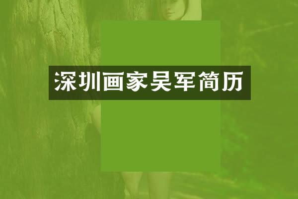 深圳画家吴军简历