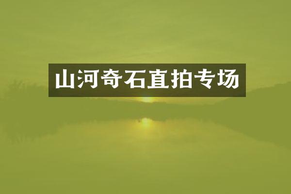 山河奇石直拍专场