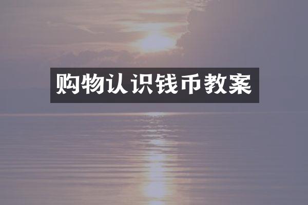 购物认识钱币教案