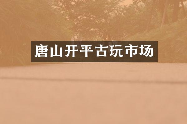 唐山开平古玩市场