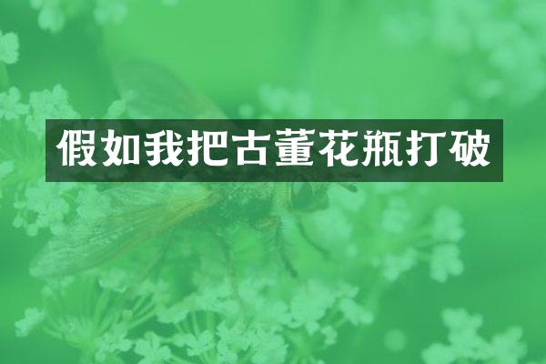 假如我把古董花瓶打破