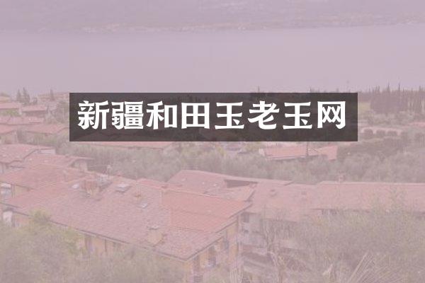 新疆和田玉老玉网