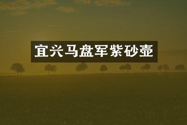 宜兴马盘军紫砂壶
