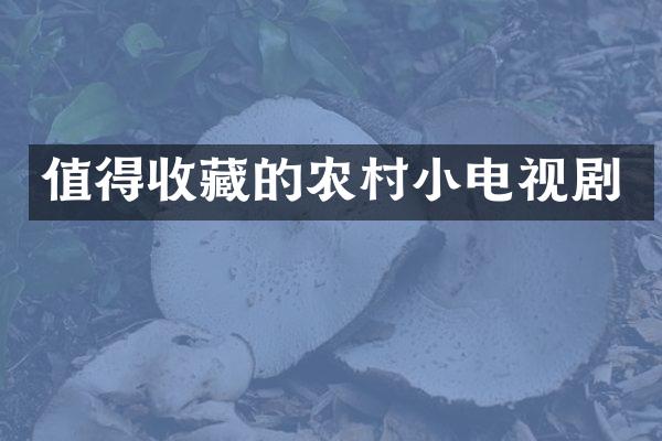值得收藏的农村小电视剧