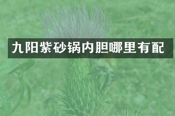 九阳紫砂锅内胆哪里有配