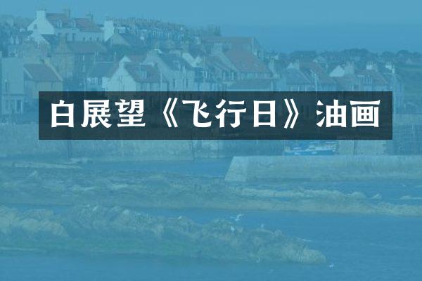 白展望《飞行日》油画