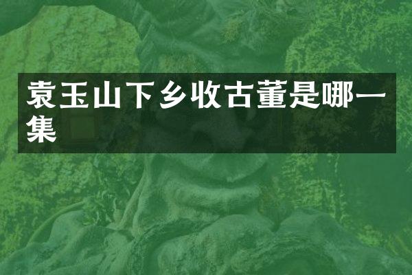袁玉山下乡收古董是哪一集