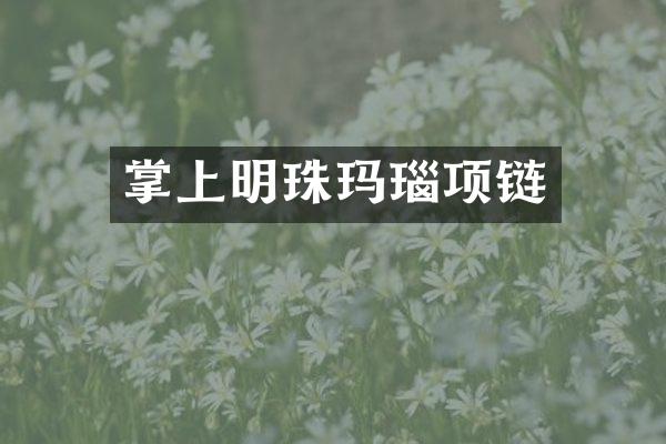 掌上明珠玛瑙项链