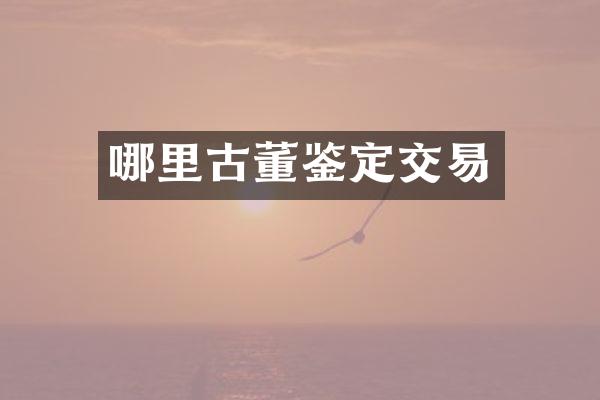 哪里古董鉴定交易