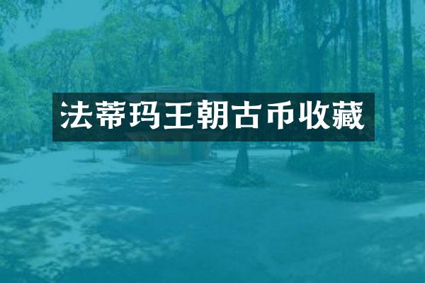 法蒂玛王朝古币收藏