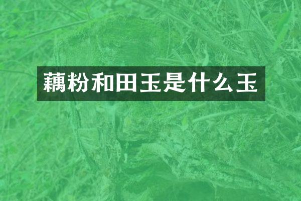 藕粉和田玉是什么玉