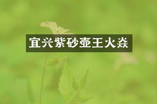 宜兴紫砂壶王火焱