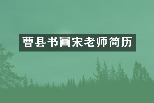 曹县书画宋老师简历