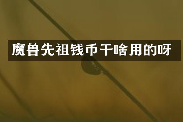 魔兽先祖钱币干啥用的呀