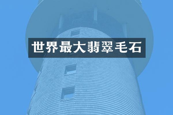 世界最大翡翠毛石