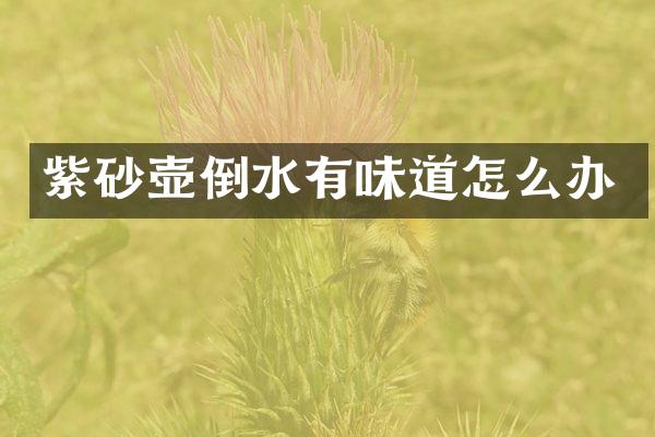 紫砂壶倒水有味道怎么办