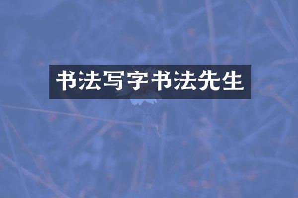 书法写字书法先生