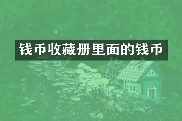 钱币收藏册里面的钱币