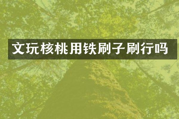 文玩核桃用铁刷子刷行吗