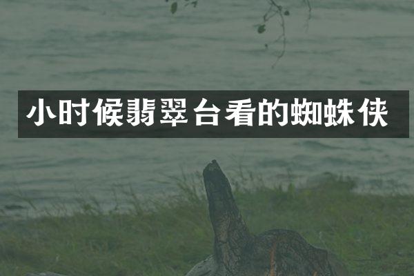 小时候翡翠台看的蜘蛛侠