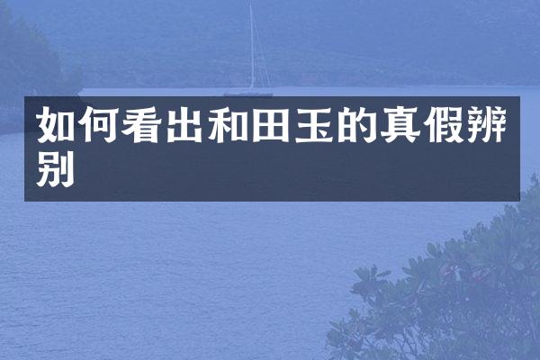如何看出和田玉的真假辨别