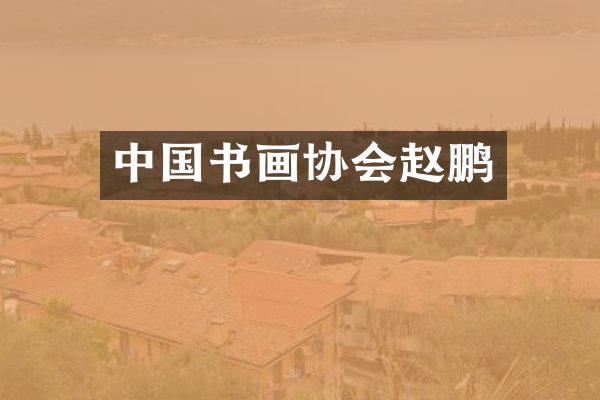 中国书画协会赵鹏