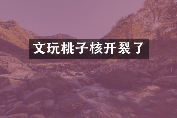 文玩桃子核开裂了