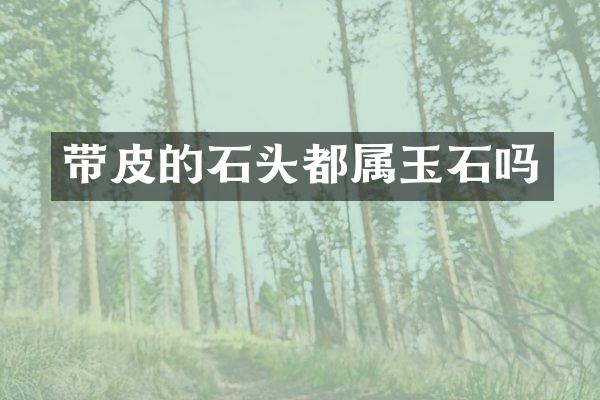 带皮的石头都属玉石吗