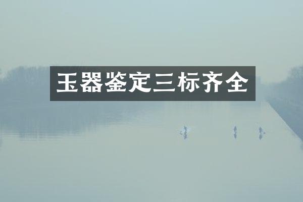 玉器鉴定三标齐全