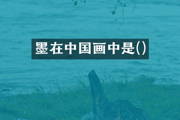 墨在中国画中是()