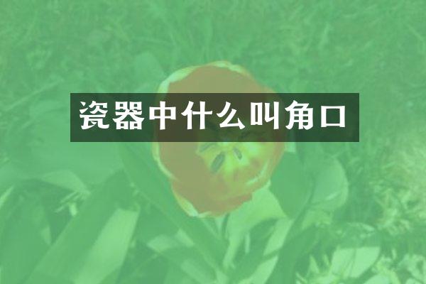 瓷器中什么叫角口