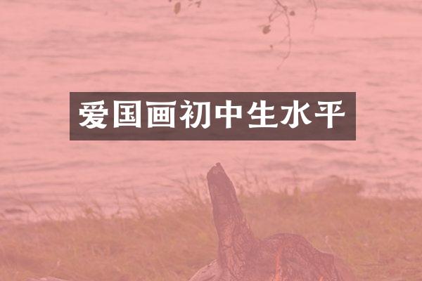 爱国画初中生水平