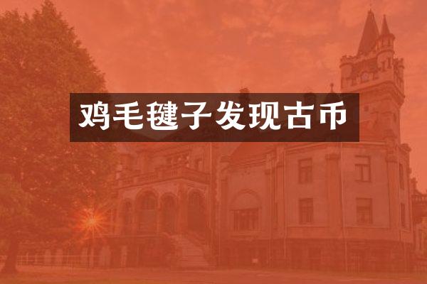 鸡毛毽子发现古币