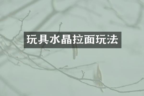 玩具水晶拉面玩法
