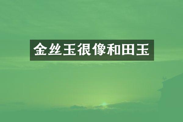 金丝玉很像和田玉