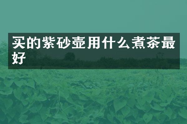 买的紫砂壶用什么煮茶最好