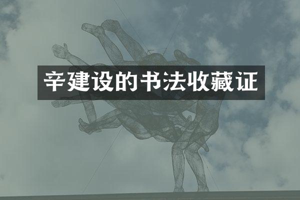 辛建设的书法收藏证