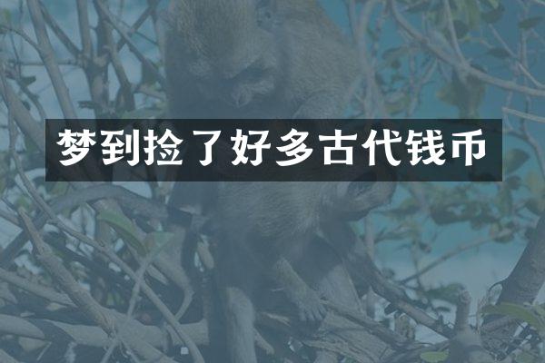 梦到捡了好多古代钱币
