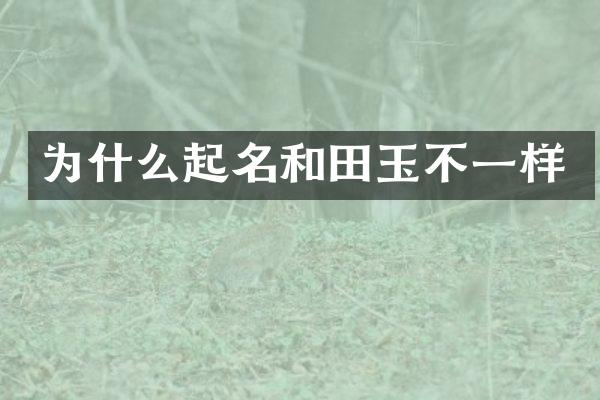 为什么起名和田玉不一样