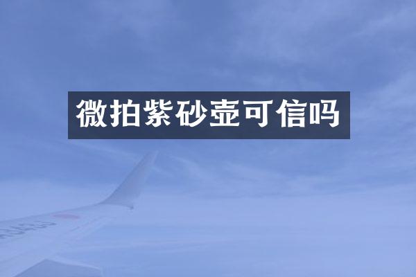 微拍紫砂壶可信吗